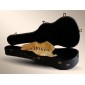 Alhambra 9557 Classical guitar case 9557 Classical and flamenco