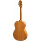 Camps M5S Flamenco guitare