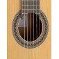 Alhambra 2C Classical Guitar 2C Classical Studio