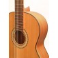 Camps SN1 Electro Classical guitar SN-1 Electro-Classical