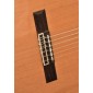 Camps CE600 Electro Classical Guitar CE-600 Electro-Classical