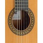 Alhambra 4P Classical Guitar 4P Classical Studio