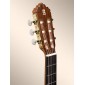 Alhambra 5P Classical Guitar 809 V Classical Studio