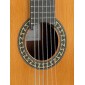 Alhambra 5P Classical Guitar 809 V Classical Studio