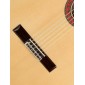 Flamenco guitar Alhambra 10FC