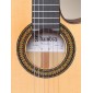 Alhambra 7FCCTE2 Electroacoustic Flamenco Guitar 7FCCTE2 Electro Flamenco