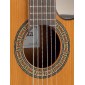 Alhambra 3CCWE1 Electro Classical Guitar 3CCWE1 Electro-Classical