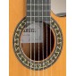 Alhambra 5PCT E2 Electro Classical Guitar 5PCT E2 Thin body