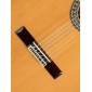 Alhambra 5PCT E2 Electro Classical Guitar 5PCT E2 Thin body