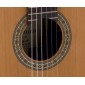 Admira A10 EF Electro Classical guitar ADM10EF Electro-Classical