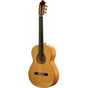 Camps M5S Guitarra flamenca 