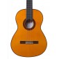 Ramirez FLAMENCO. Flamenco Guitar FLAMENCO Premium Flamenco