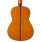 Ramirez FLAMENCO. Flamenco Guitar FLAMENCO Premium Flamenco