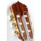 Alhambra Linea Profesional Classical guitar LINEA PROFESIONAL Premium Classical