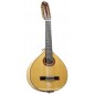 Lute Prudencio Saez 70 70 Bandurria and Laud