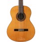 Alhambra Iberia Ziricote Classical Guitar IBERIA ZIRICOTE Classical Studio