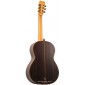 Alhambra 10FP PIÑANA Guitare Flamenco Negra