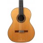 Alhambra 10FP PINANA flamenco negra guitar 8225 Premium Flamenco