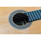 Alhambra 10FP PINANA flamenco negra guitar 8225 Premium Flamenco