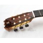 Alhambra 10FP PINANA flamenco negra guitar 8225 Premium Flamenco