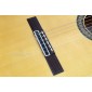 Camps FL11C Electroacoustic Flamenco Guitar FL-11-C Electro Flamenco