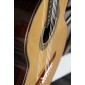 Alhambra Jose Miguel Moreno Serie C guitare classique