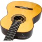 Camps PRIMERA NEGRA A Flamenco Guitar PRIMERA A NEGRA Premium Flamenco