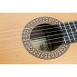 Alhambra 8P Classical Guitar 8P Concert Classical