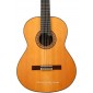 Alhambra 10 Premier Classical Guitar 10 PREMIER Premium Classical