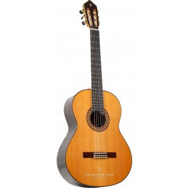 Alhambra 10 Premier Classical Guitar