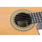 Alhambra 9PCW E8 Electro Classical Guitar 9PCW E8 Electro-Classical