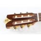 Alhambra Crossover CS1CW E1 Electro Classical Guitar CS1CW Crossover