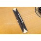 Alhambra Crossover CS1CW E1 Electro Classical Guitar CS1CW Crossover