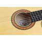 Camps MC5 Cutaway Flamenco guitar MC-5 Flamenco Cutaway