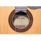 Alhambra Iberia Ziricote CTW E8 Electro-classical guitar narrow body 915 Iberia Ziricote CTW E8 Thin body