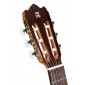 Alhambra Iberia Ziricote CTW E8 Electro-classical guitar narrow body 915 Iberia Ziricote CTW E8 Thin body