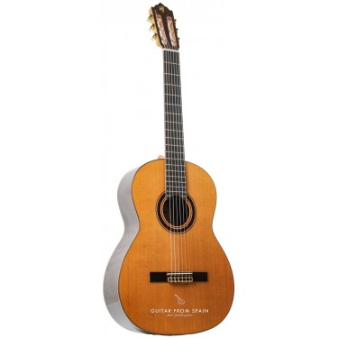 Prudencio Saez 4-S (31) Klassische Gitarre