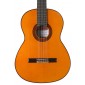 Ramirez FLAMENCO NEGRA. Flamenco Guitar FLAMENCO NEGRA Premium Flamenco