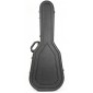 Hiscox PRO II-GCL-L Classical guitar case PRO II-GCL-L Classical and flamenco