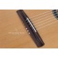 Alhambra CS-LR CW E1 Crossover Classical Guitar CSLRCW E1 Crossover