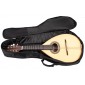 HORA Mandolin Gig Bag 1501114 Special sizes