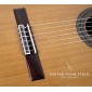 Ramirez SPR Classical guitar SPR Premium Classical