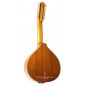 Lute Prudencio Saez 55 55 Bandurria and Laud