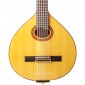 Lute Prudencio Saez 55 55 Bandurria and Laud