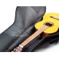 Cibeles C100020C Gig Bag for Classical guitar C100020C Classical and flamenco