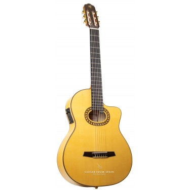 Prudencio Saez 6-CW (59) Guitare Electro Classique