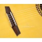 Prudencio Saez 6-CW (59) Electro Classical Guitar 6-CW Electro-Classical