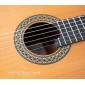 Alhambra Premier Pro Madagascar Classical guitar Premier Pro Madagascar Premium Classical