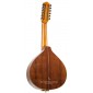 Lute Prudencio Saez 99 99 Bandurria and Laud