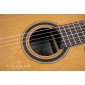 Admira VIRTUOSO ECF Electro Classical guitar ADM0930ECF Electro-Classical